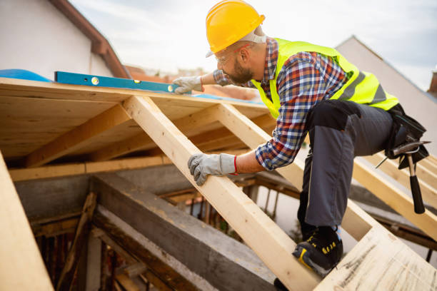 Best Roof Leak Repair  in New Chicago, IN