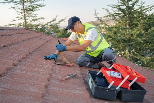 Best Shingle Roofing Installation  in New Chicago, IN
